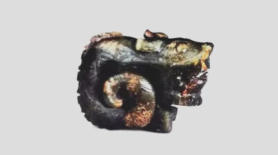 商代 玉龙
妇好墓出土
中国国家博物馆
