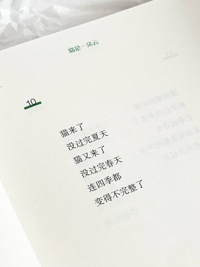 文字