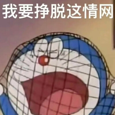 表情包
