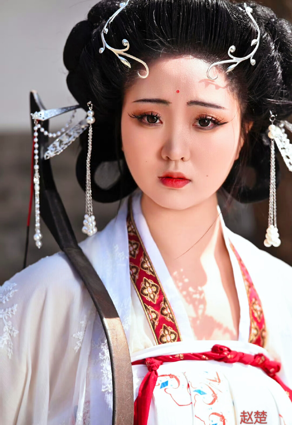 赵楚