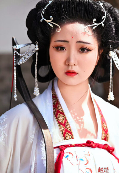 赵楚