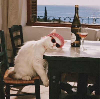 复古猫咪头像