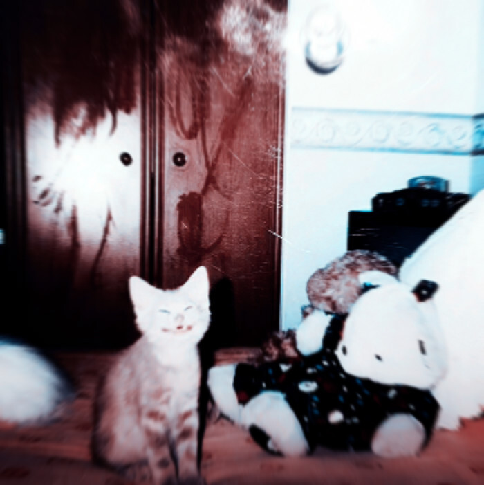 好久不见～～～