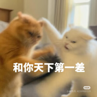 表情包