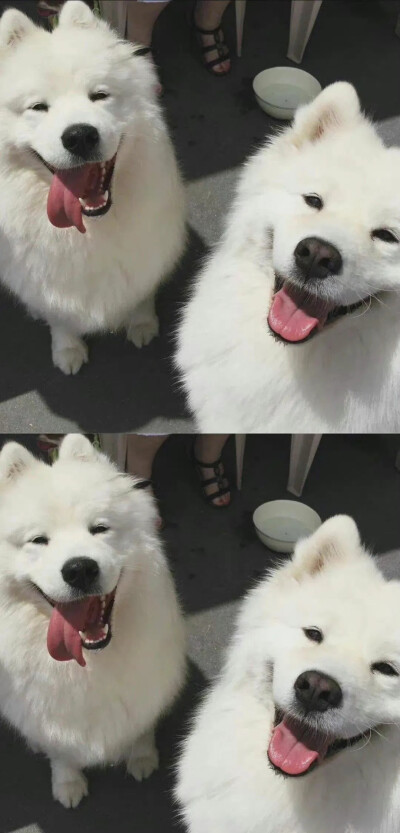 壁纸