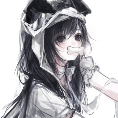 cr.鸟大王