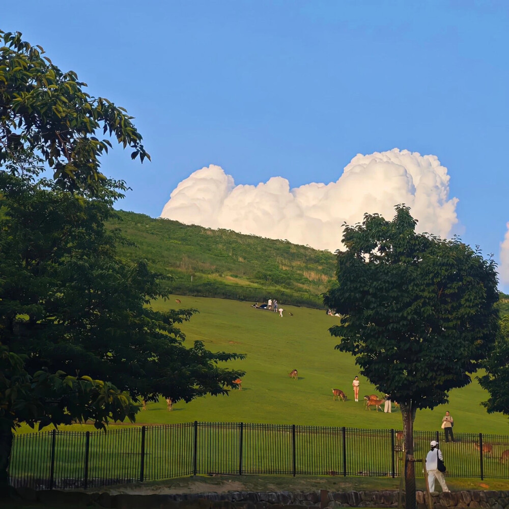 背景