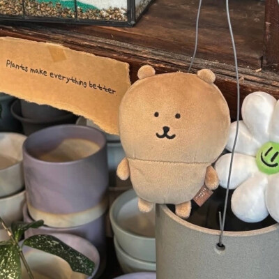 自嘲熊头像