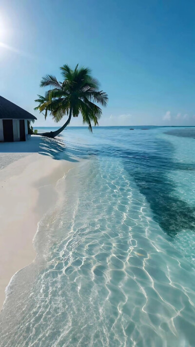 背景图