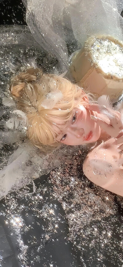 壁纸