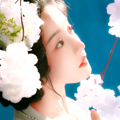 姜贞羽