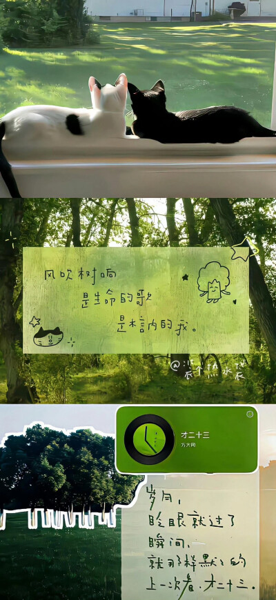 壁纸