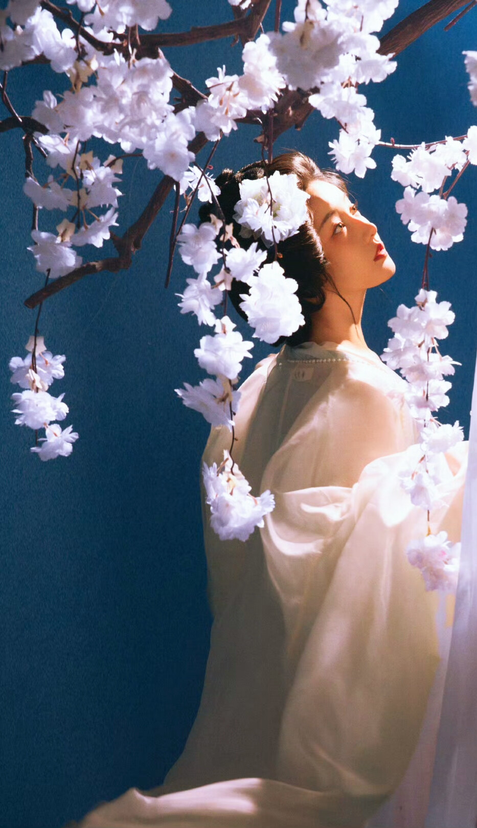 姜贞羽