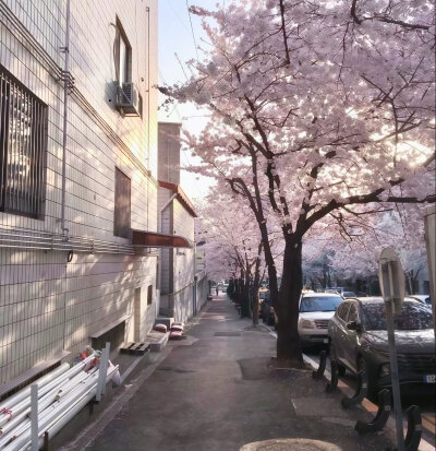 林许妍