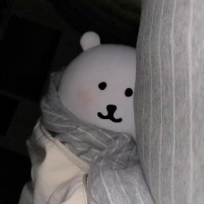 自嘲熊头像