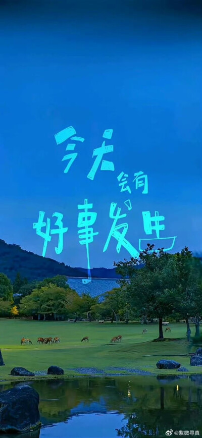 为手机准备的