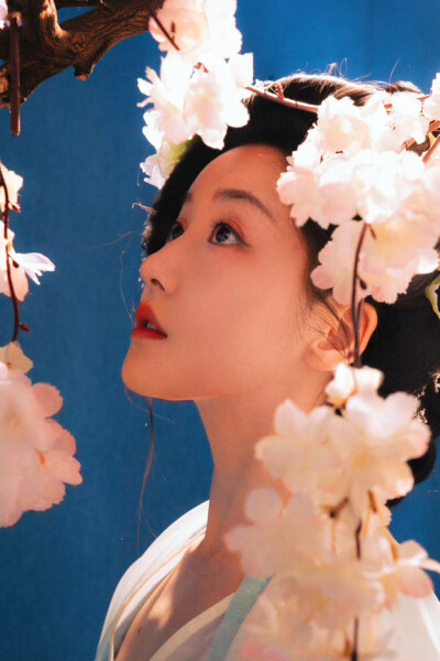 姜贞羽