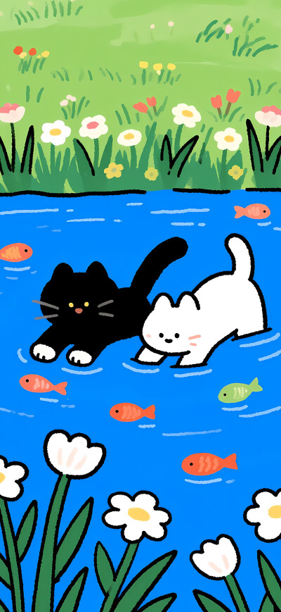 喵喵