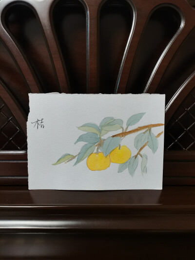 47 桔（绘画 | 水彩 | 果花甘04）
2018.6.14
桔树，清的沉绿，枝叶繁茂，枝干硬朗。
金黄的果实缀在叶间，阳光透过叶隙，桔子上笼罩着柔和的光晕。桔子是暖的，阳光也是暖的。
枝干硬而色浓，叶是浓密的，桔子圆得…