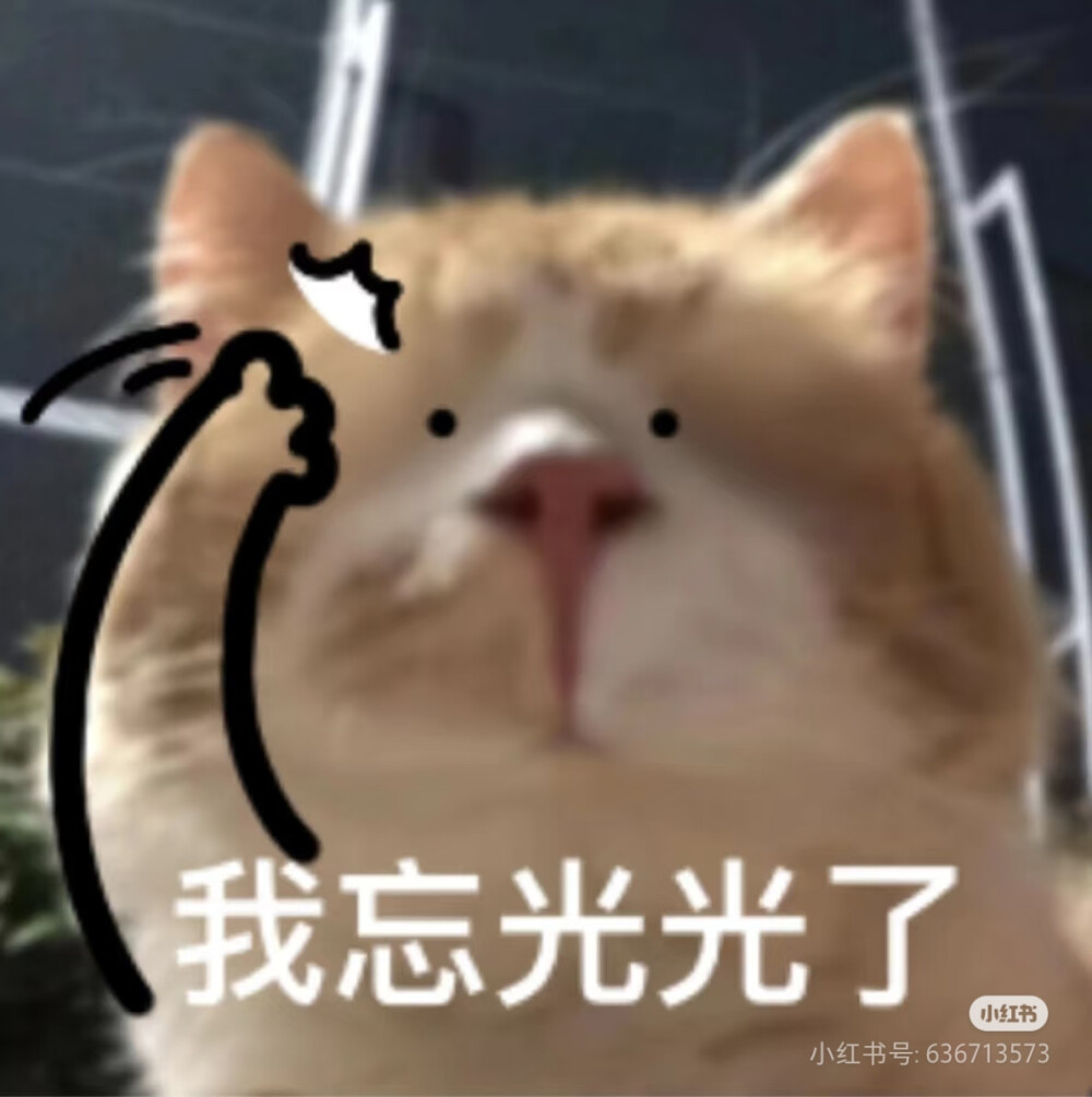 表情包