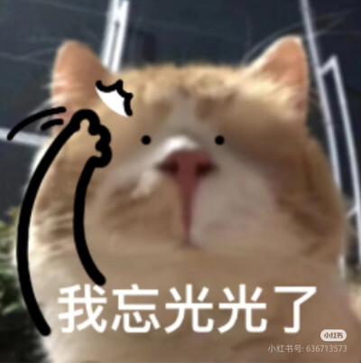 表情包