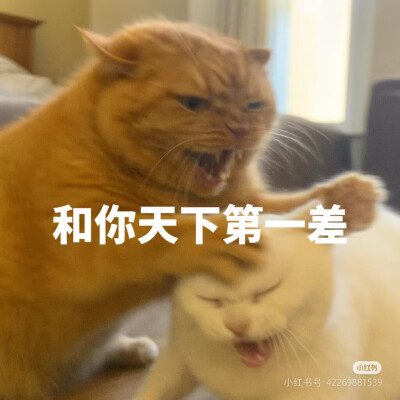 表情包