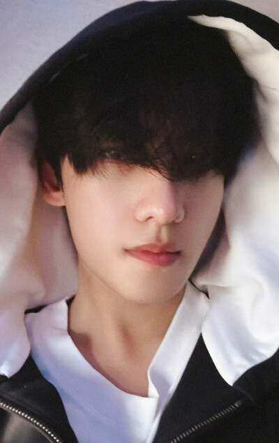 杨洋