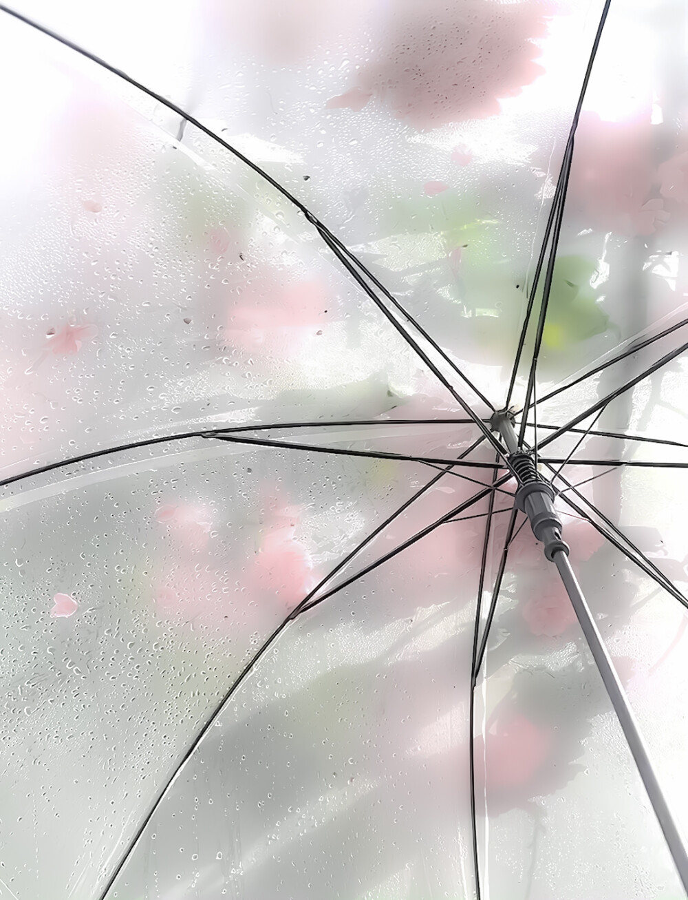 ''字和句关于你——Mots et phrases sur vous）*