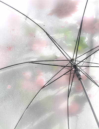 ''字和句关于你——Mots et phrases sur vous）*