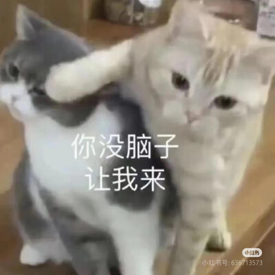 表情包