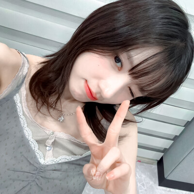 田姬振