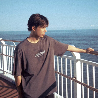 王安宇