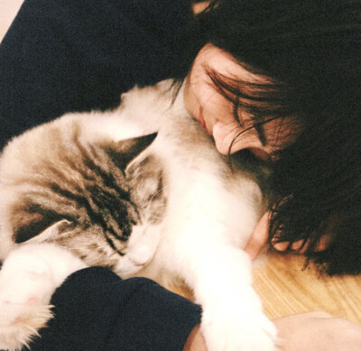 抱猫女头