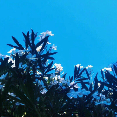 背景