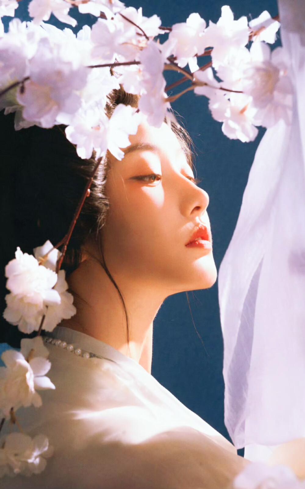 姜贞羽