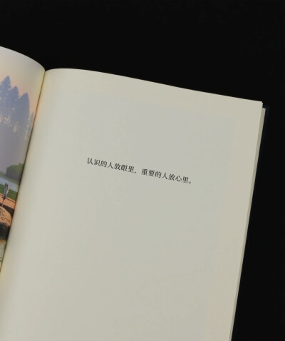壁纸&背景图