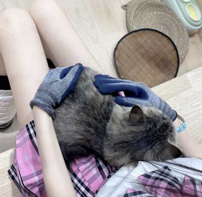 爱
