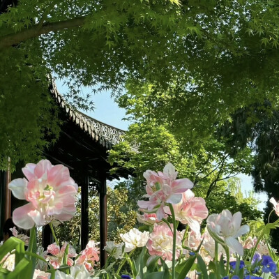 背景图