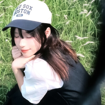 ：树下 我是我的夏天