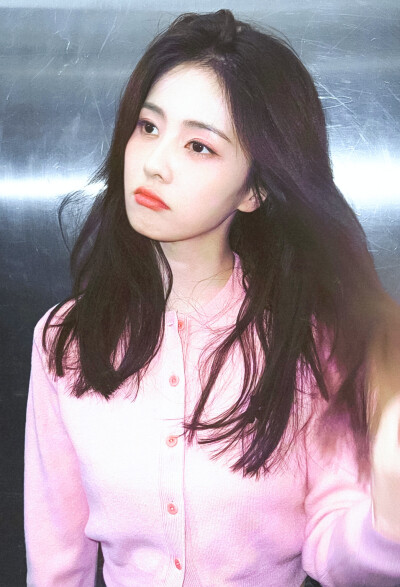 白鹿
