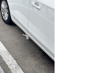 开学了 po 几张
开学之前又自己染了粉色，现实看很火龙果，上镜还好一些，洗了一次掉的颜色很好看，和图片差不多，估计下次再洗一次就要成黄色了 TT
新尝试的淡盐柠檬水 完全是柠檬味的白水 喜欢柠檬的估计会很喜欢 …