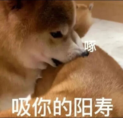 表情包