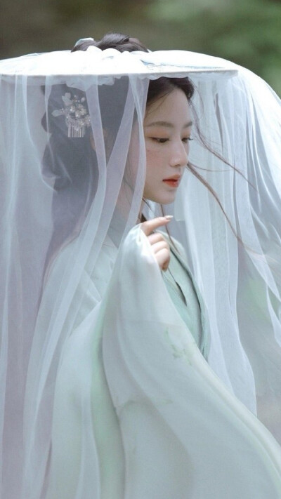 叶舒华