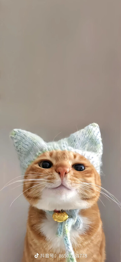 黄色