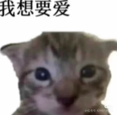 表情包