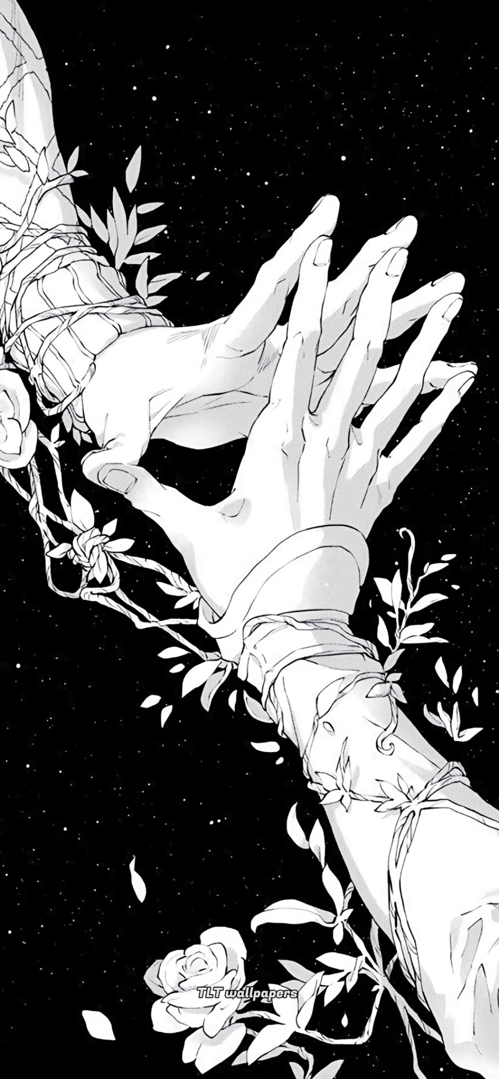 风格化壁纸，小众壁纸