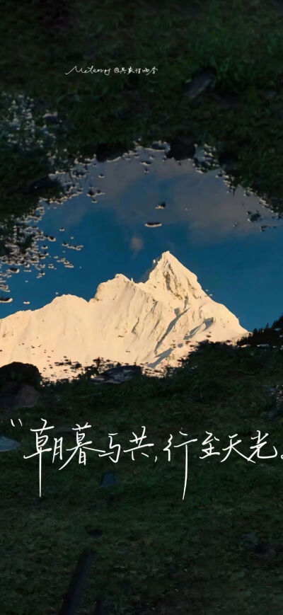 壁纸