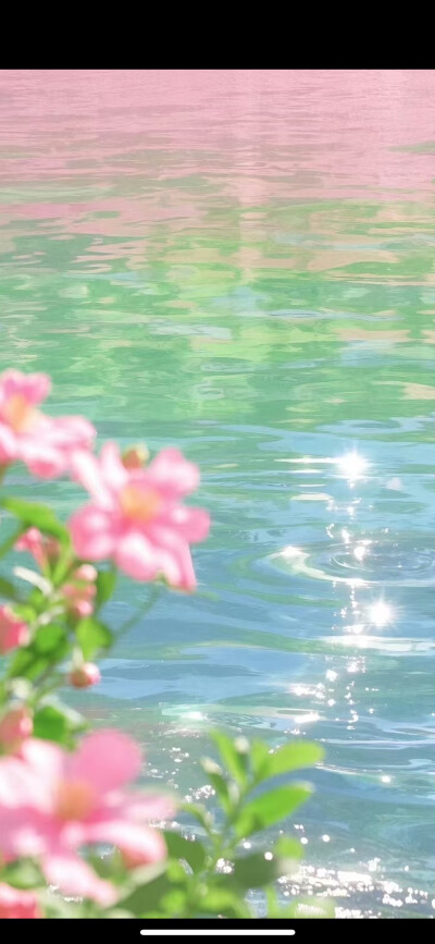 为手机准备的