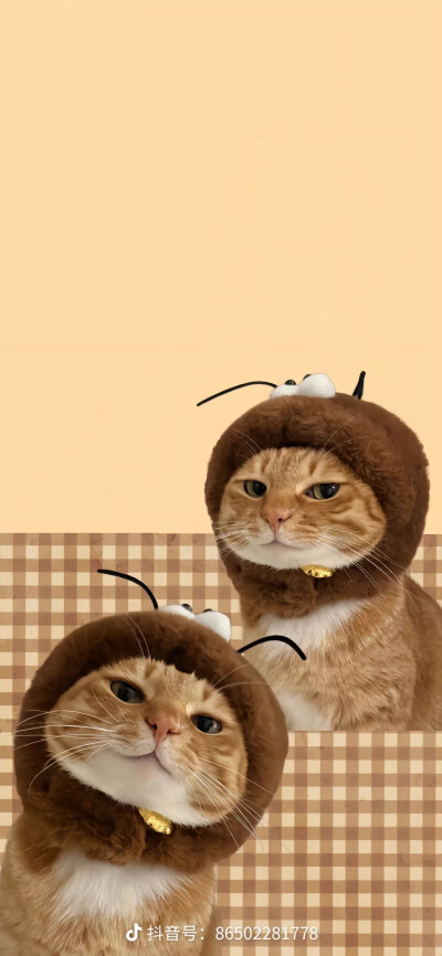 黄色