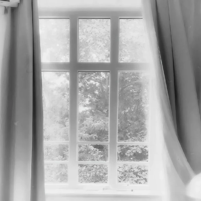 
颂椿送的嘿嘿嘿
